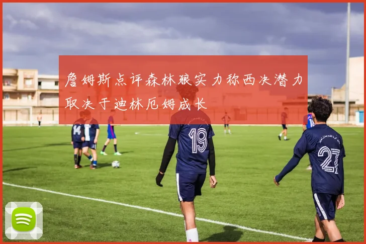 詹姆斯点评森林狼实力称西决潜力取决于迪林厄姆成长