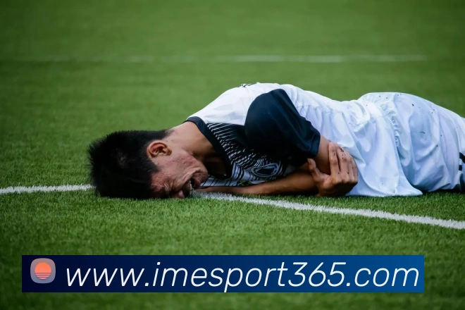 IM电竞APP 封面图